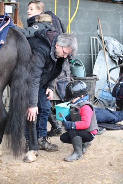 cour équitation