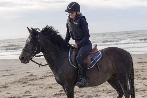 stage équitation