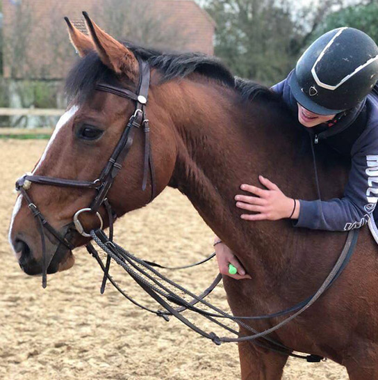 cours équitation